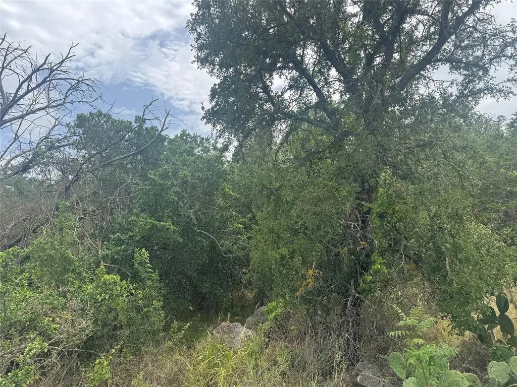 Tbd Fort Croghan Lane Burnet TX 78611