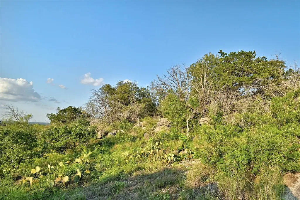 1711 W Fm 2147 Marble Falls TX 78654