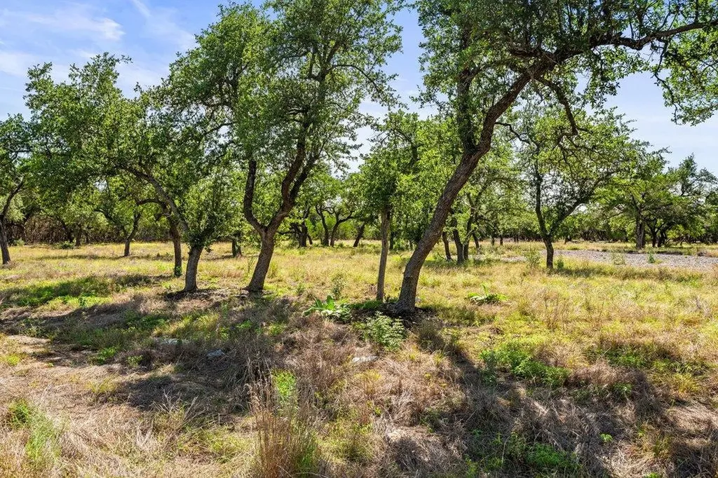 300 Stonegate Lane Dripping Springs TX 78620