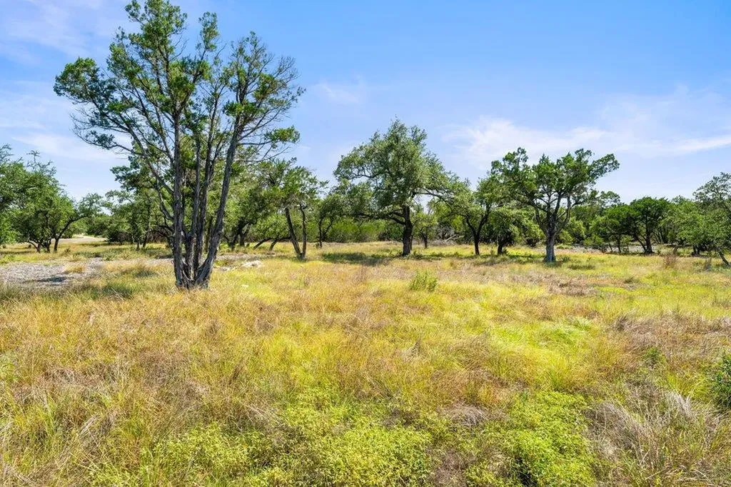 300 Stonegate Lane Dripping Springs TX 78620