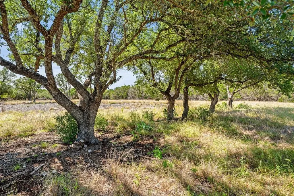 300 Stonegate Lane Dripping Springs TX 78620