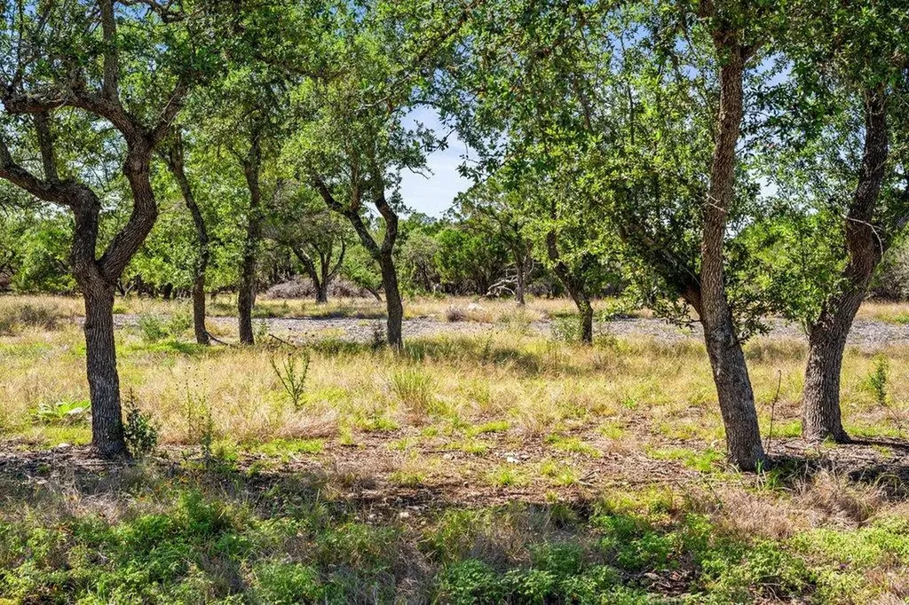 300 Stonegate Lane Dripping Springs TX 78620
