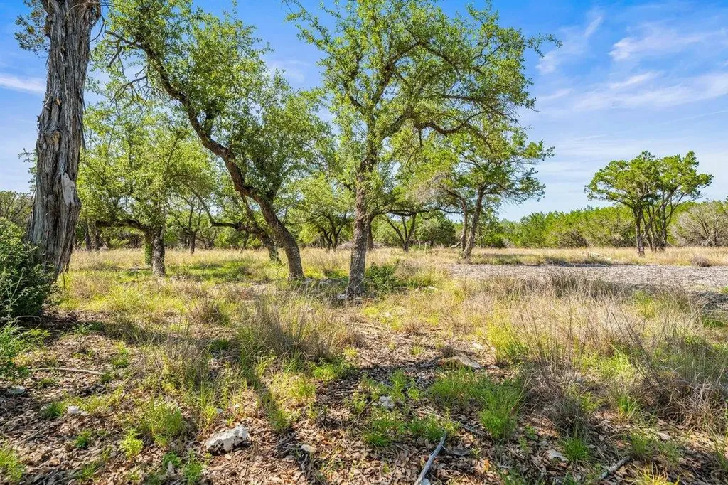 300 Stonegate Lane Dripping Springs TX 78620