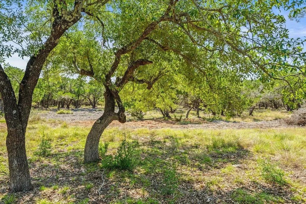 300 Stonegate Lane Dripping Springs TX 78620