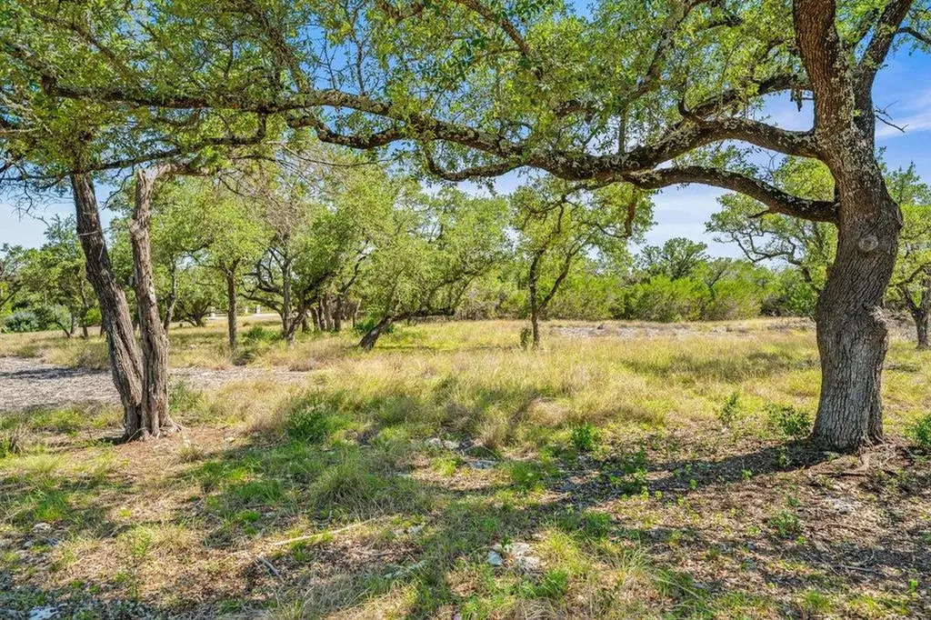 300 Stonegate Lane Dripping Springs TX 78620