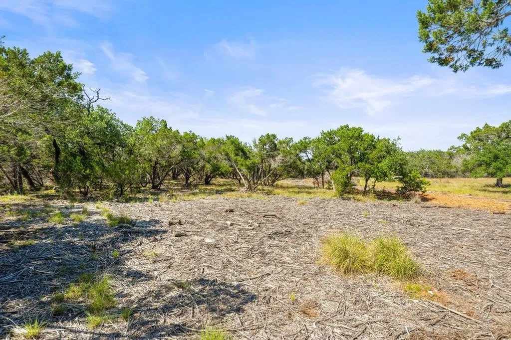 300 Stonegate Lane Dripping Springs TX 78620