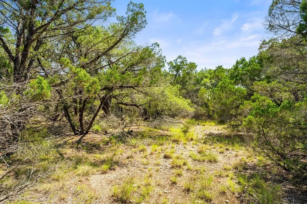 300 Stonegate Lane Dripping Springs TX 78620