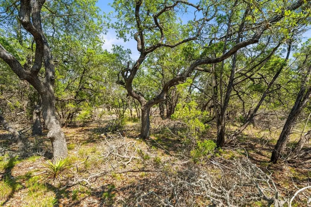 300 Stonegate Lane Dripping Springs TX 78620