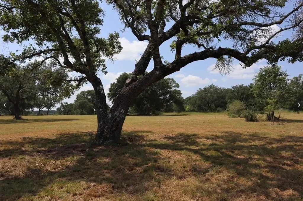 920 Crosswind Drive Blanco TX 78606