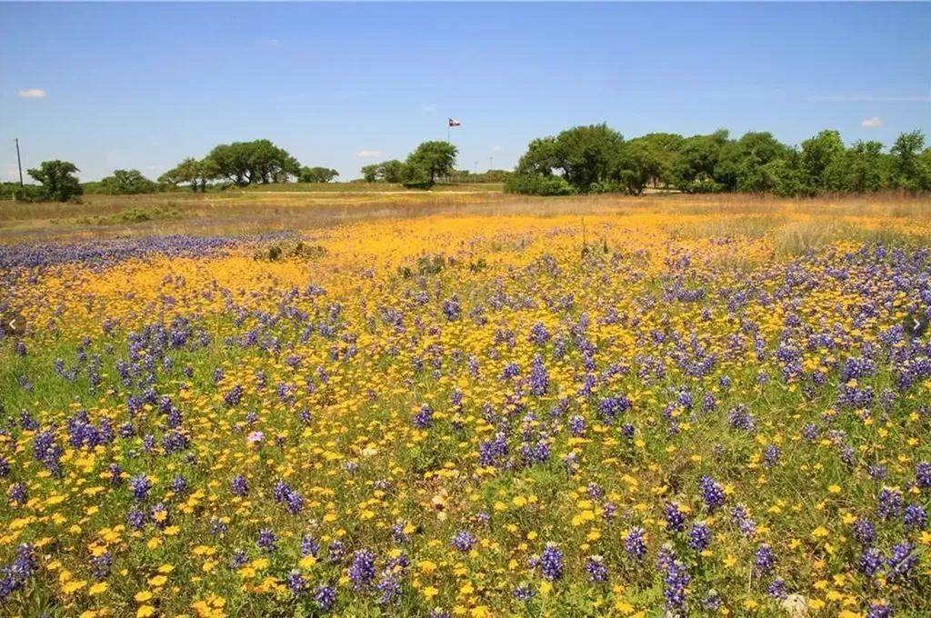 920 Crosswind Drive Blanco TX 78606