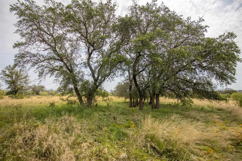 15811 W State Highway 29 Llano TX 78643