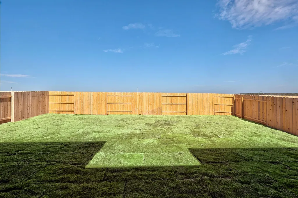 317 Horsemint Lane Georgetown TX 78633