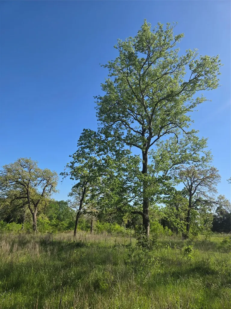 10557 Roy Road Flatonia TX 78941