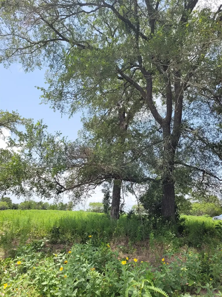 10557 Roy Road Flatonia TX 78941
