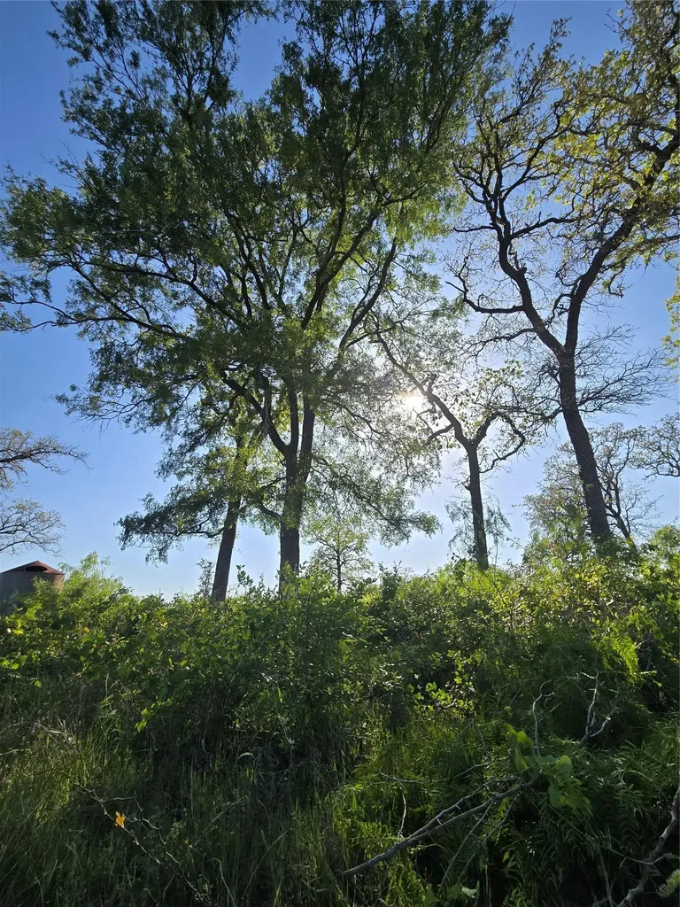 10557 Roy Road Flatonia TX 78941
