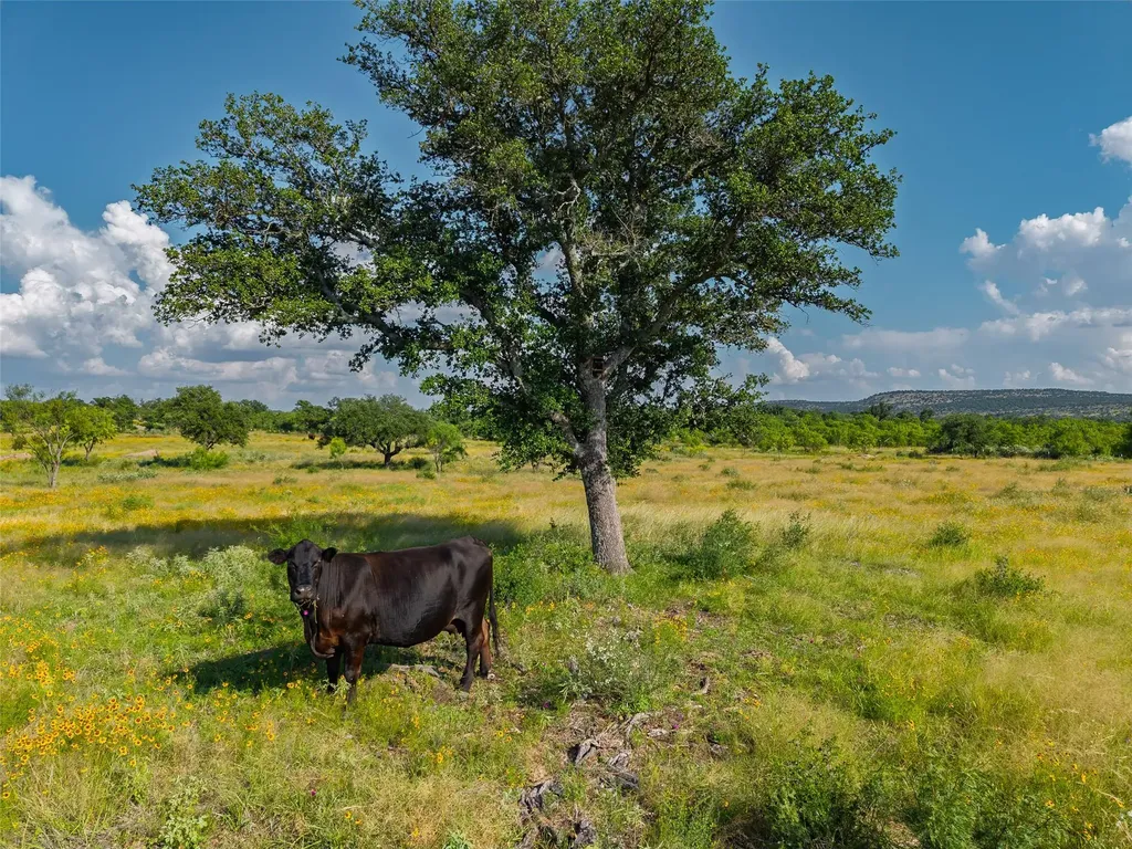 Tbd County Road 110 Road Llano TX 78643