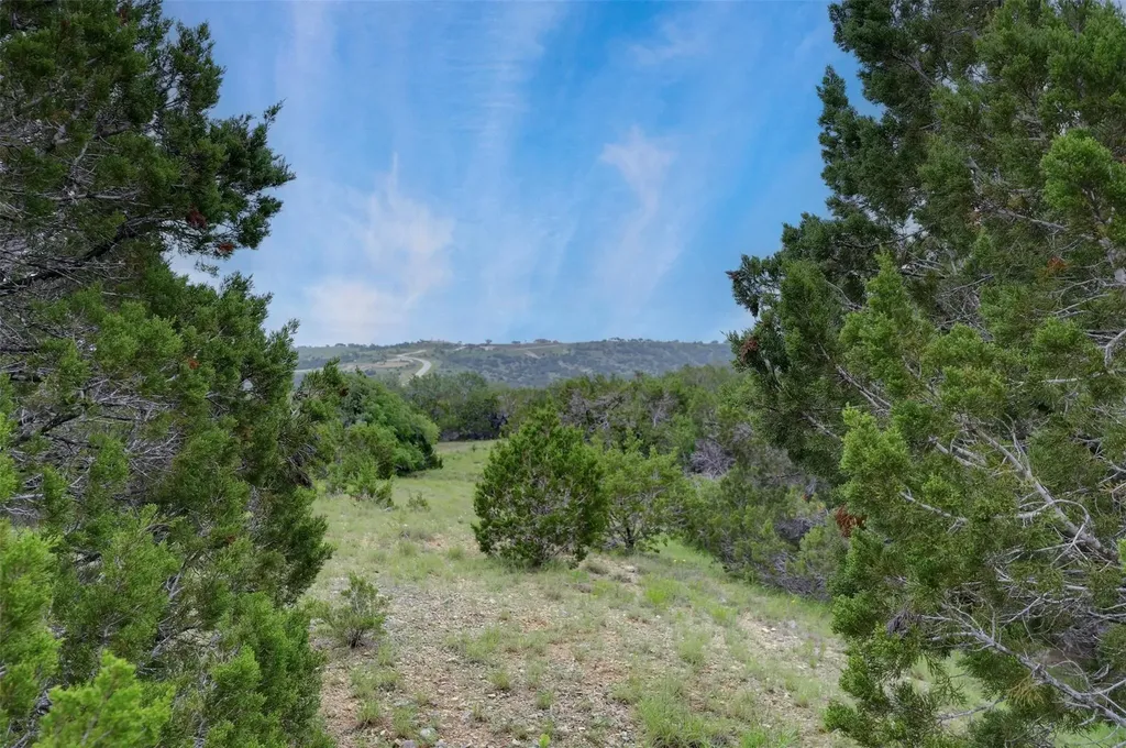 523 Big Sky Court Blanco TX 78606
