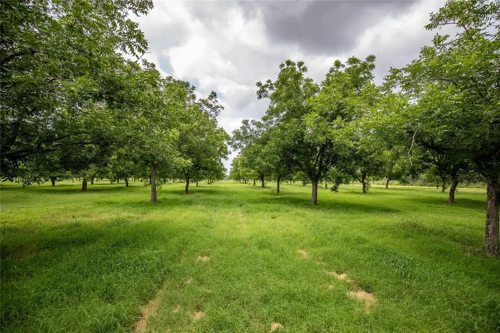 2432 County Road 402 B Falfurrias TX 78355