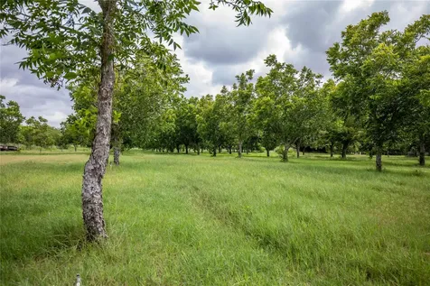 2432 County Road 402 B Falfurrias TX 78355