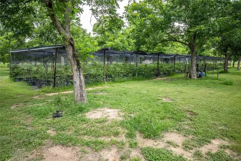 2432 County Road 402 B Falfurrias TX 78355