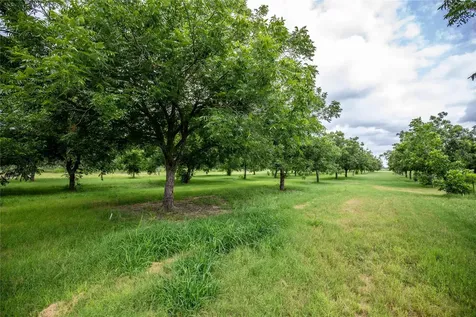 2432 County Road 402 B Falfurrias TX 78355
