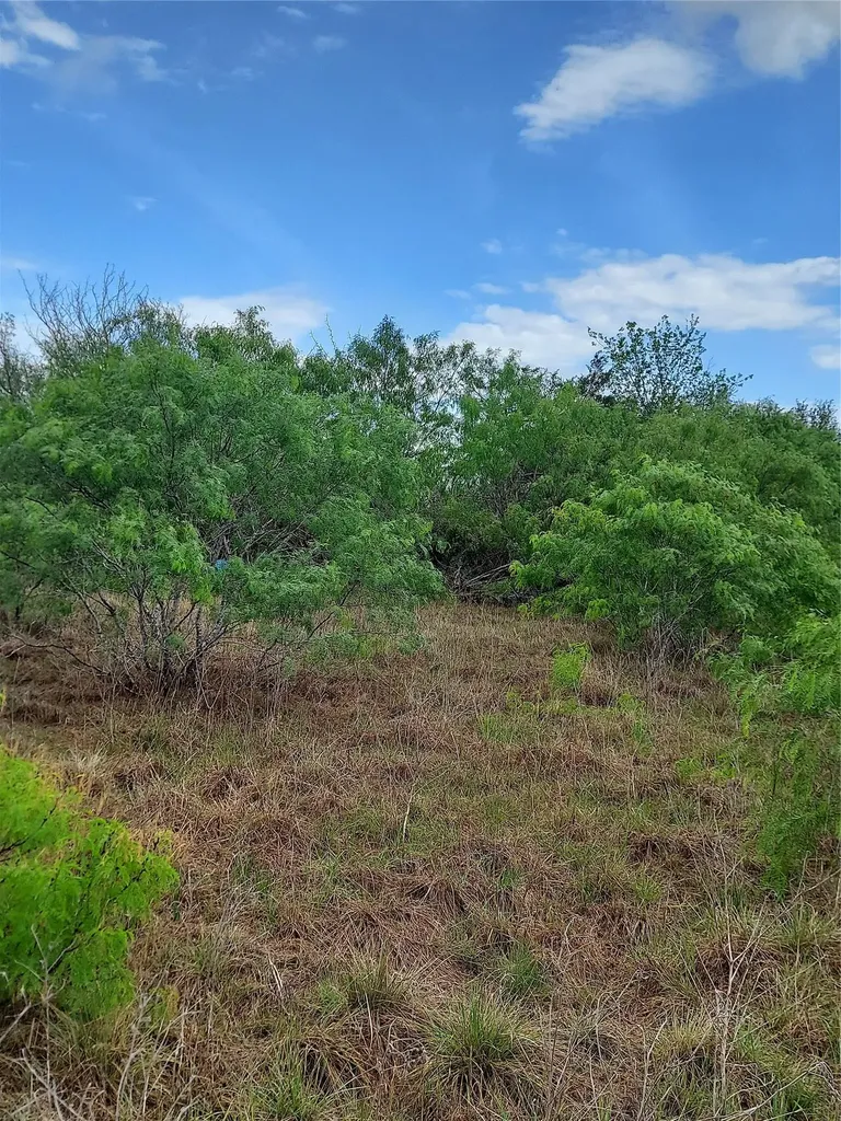 1060 Fox Lane Lockhart TX 78644