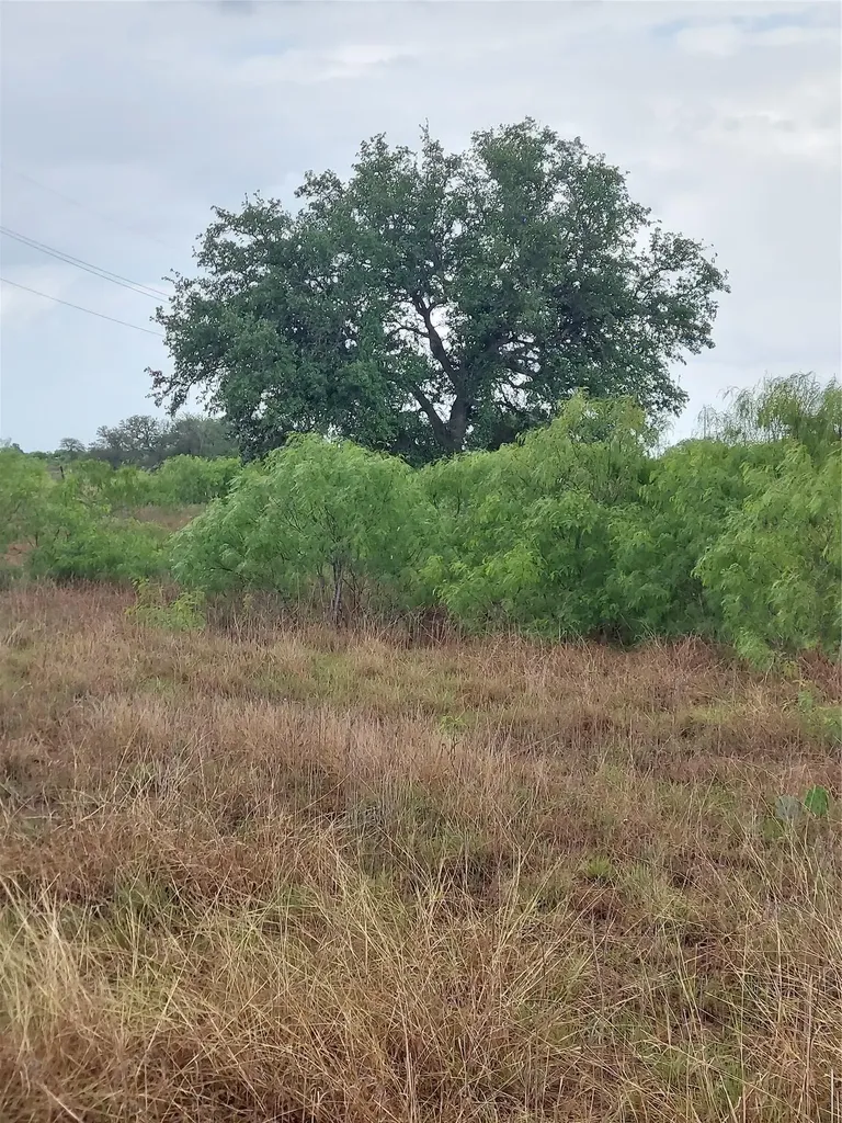 1060 Fox Lane Lockhart TX 78644