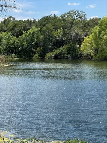 12501 Fitzhugh Road Austin TX 78736