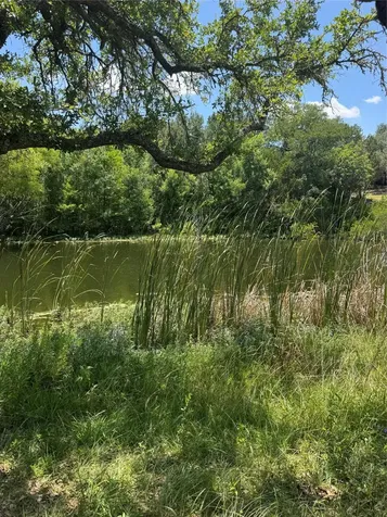 12501 Fitzhugh Road Austin TX 78736