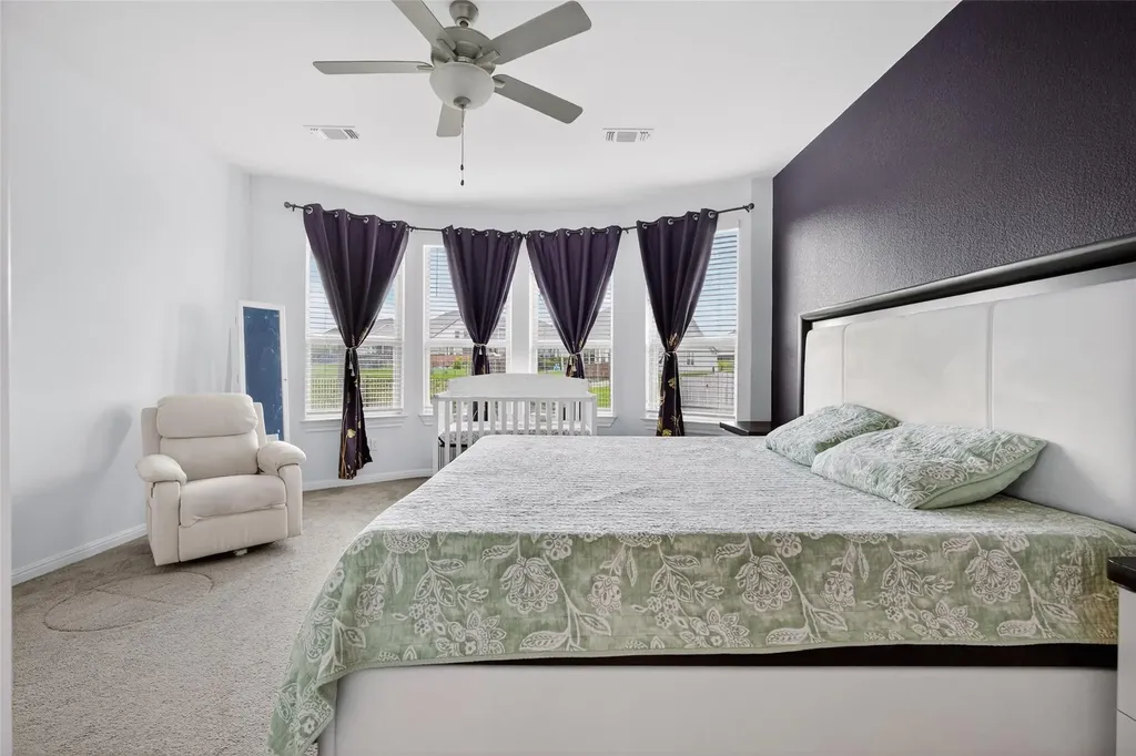 217 Sand Lily Lane Georgetown TX 78626