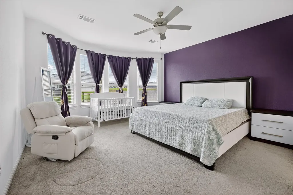217 Sand Lily Lane Georgetown TX 78626