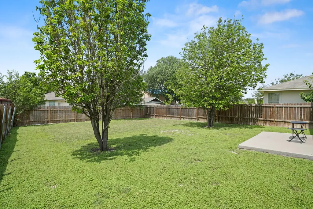 18209 Canopy Lane Manor TX 78653