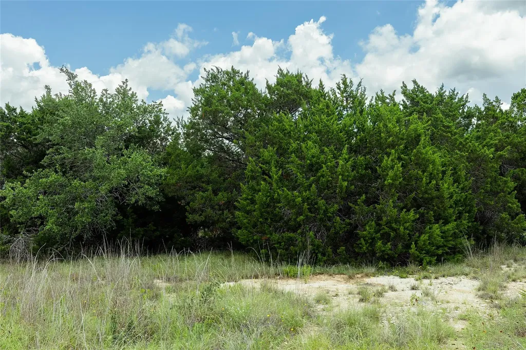 179 Shawnee Trail Dripping Springs TX 78620
