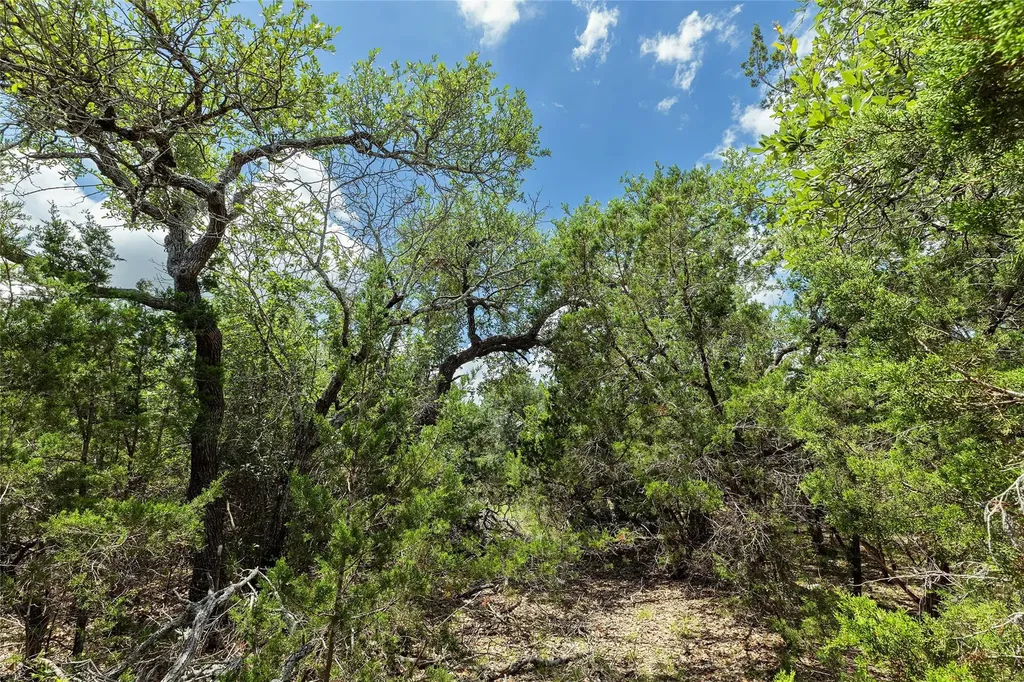 179 Shawnee Trail Dripping Springs TX 78620
