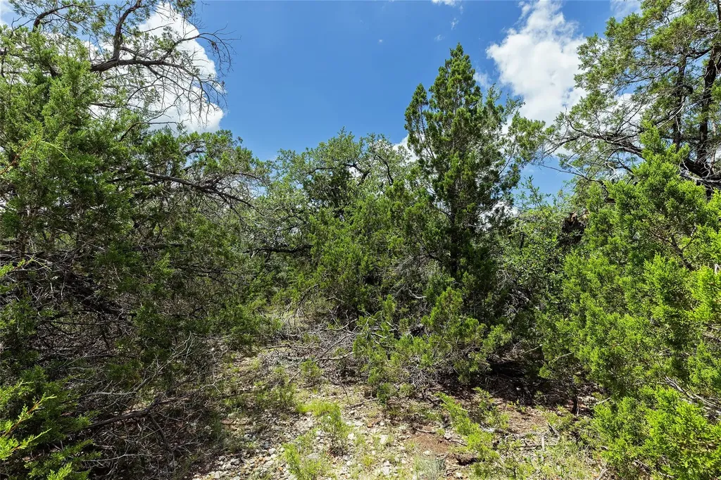 179 Shawnee Trail Dripping Springs TX 78620
