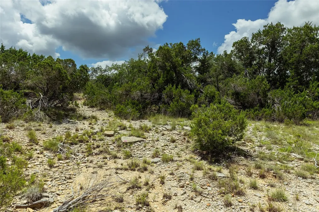 179 Shawnee Trail Dripping Springs TX 78620
