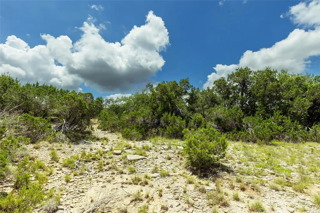 179 Shawnee Trail Dripping Springs TX 78620