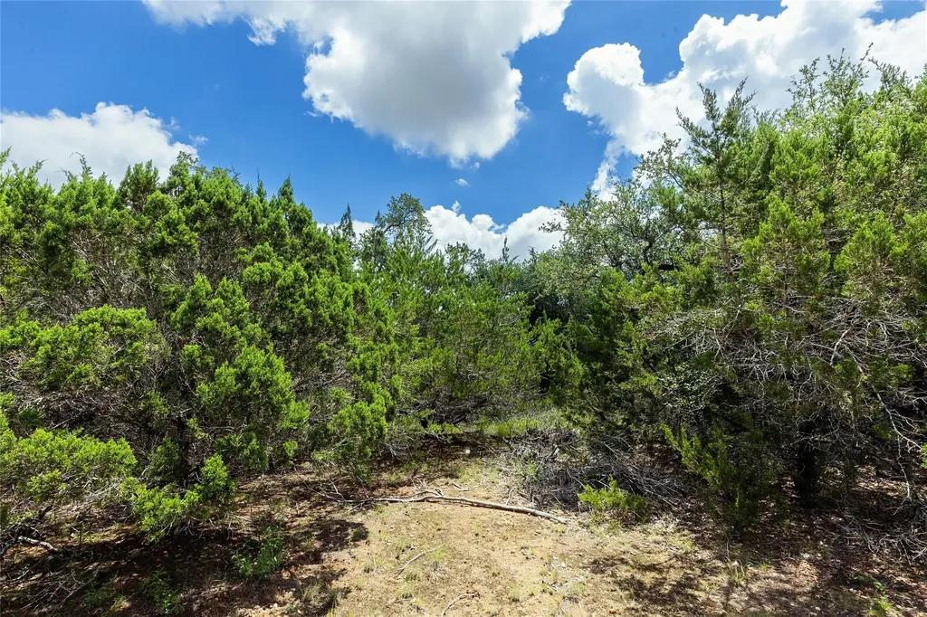 179 Shawnee Trail Dripping Springs TX 78620