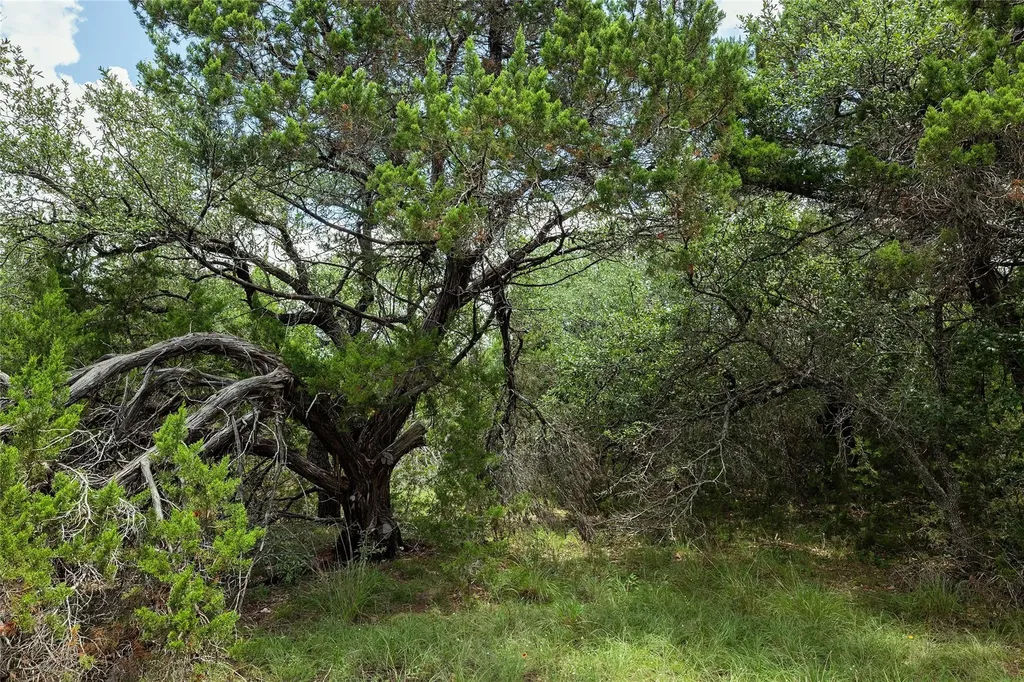 179 Shawnee Trail Dripping Springs TX 78620