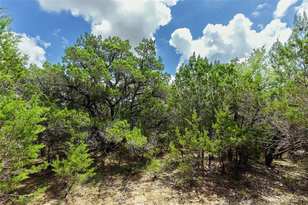179 Shawnee Trail Dripping Springs TX 78620