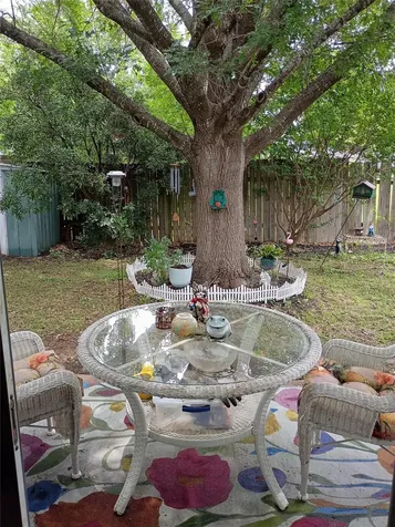 806 Black Locust Drive Pflugerville TX 78660