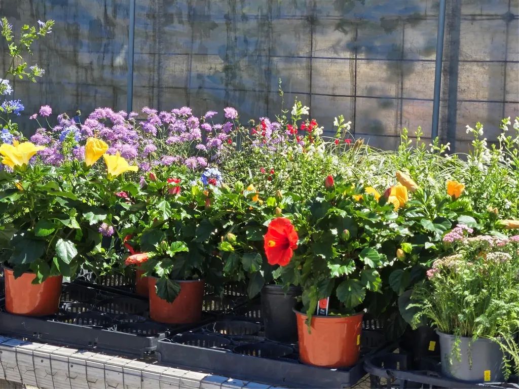 174 Falcon Drive Luling TX 78648