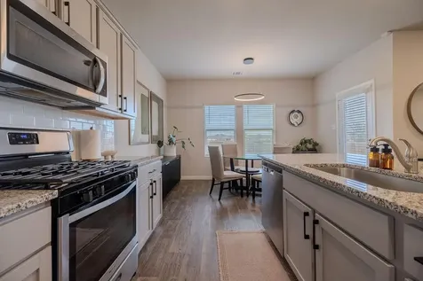 393 Apache Plum Drive Kyle TX 78640