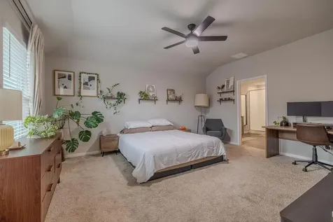 393 Apache Plum Drive Kyle TX 78640