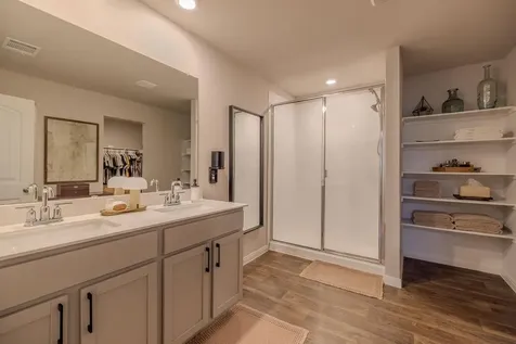 393 Apache Plum Drive Kyle TX 78640