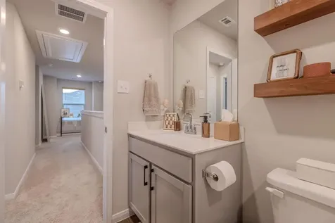 393 Apache Plum Drive Kyle TX 78640