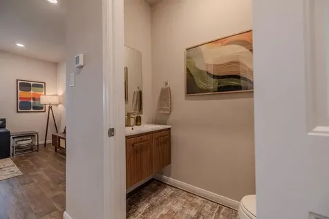 393 Apache Plum Drive Kyle TX 78640