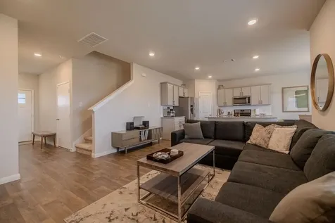 393 Apache Plum Drive Kyle TX 78640