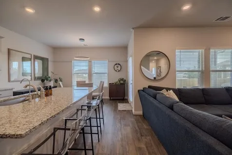 393 Apache Plum Drive Kyle TX 78640
