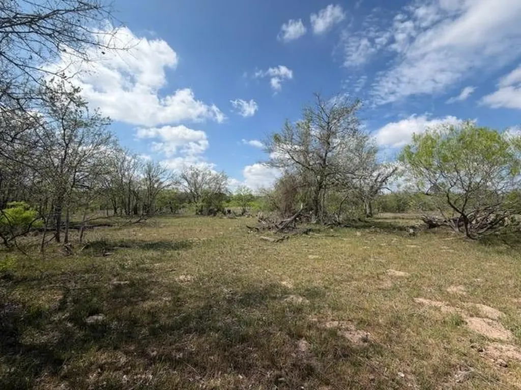 1235 Hoover Street Luling TX 78648